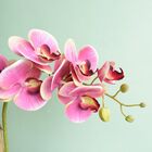 Arranjo De Orquídea Artificial Rosa No Vaso Vidro M | Formosi